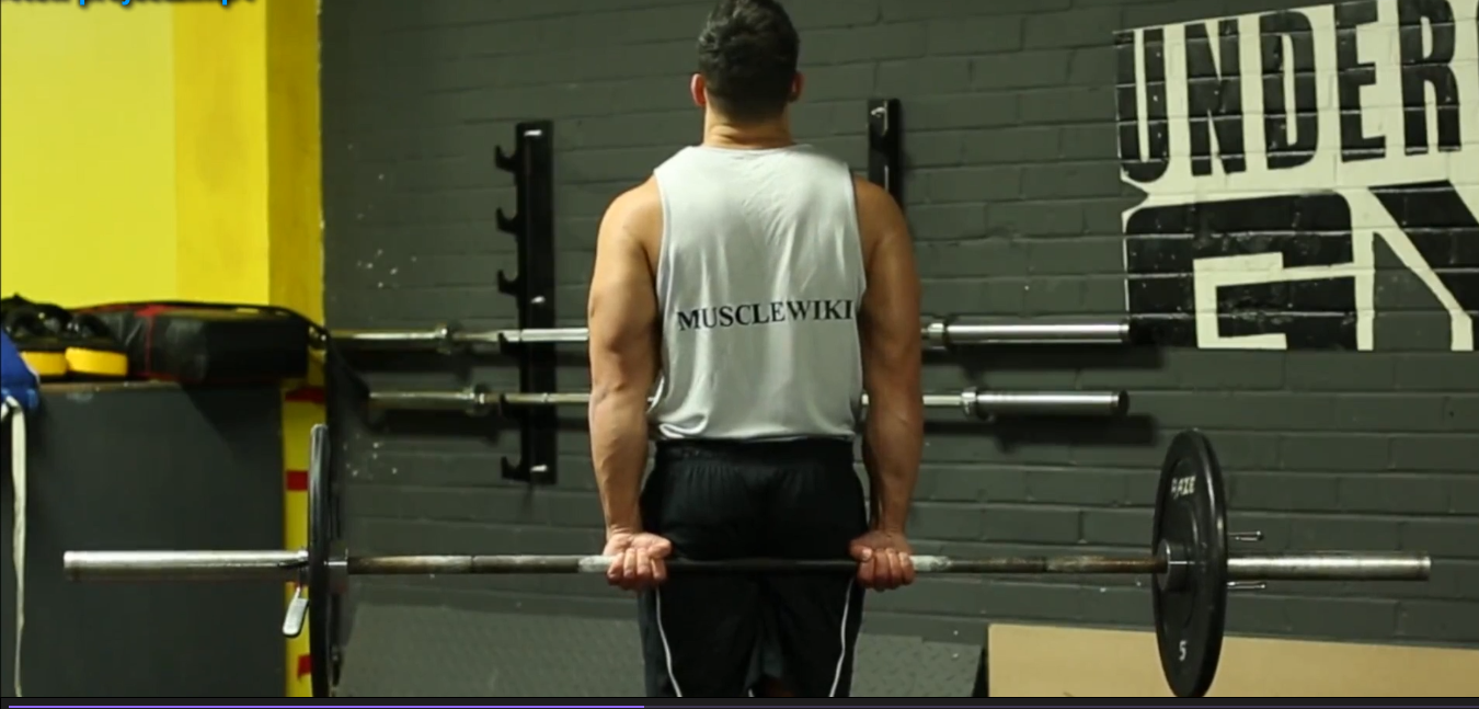 Barbell behind the Back Wrist Curl/هلتر پشت بدن پیچش از عقب مچ
