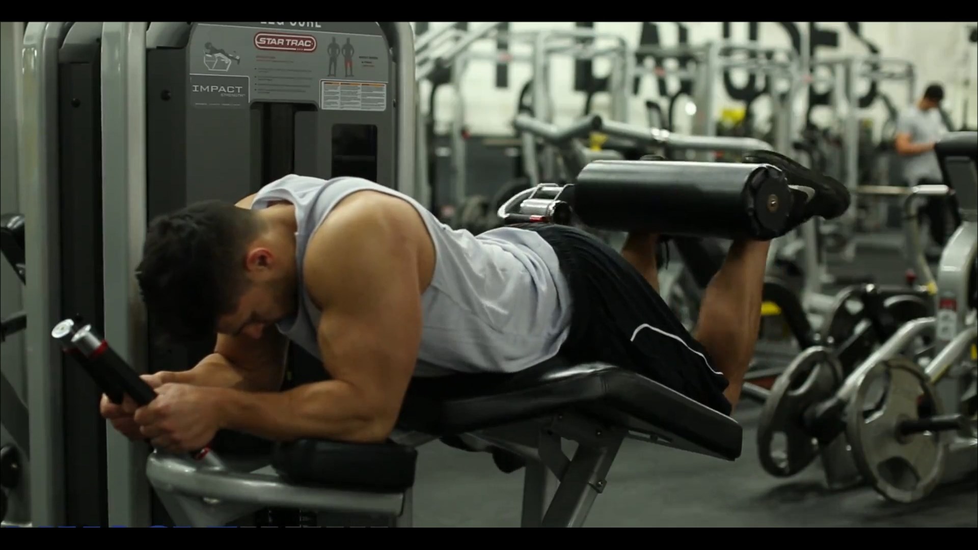 Machine Hamstring Curl/پشت پا دستگاه