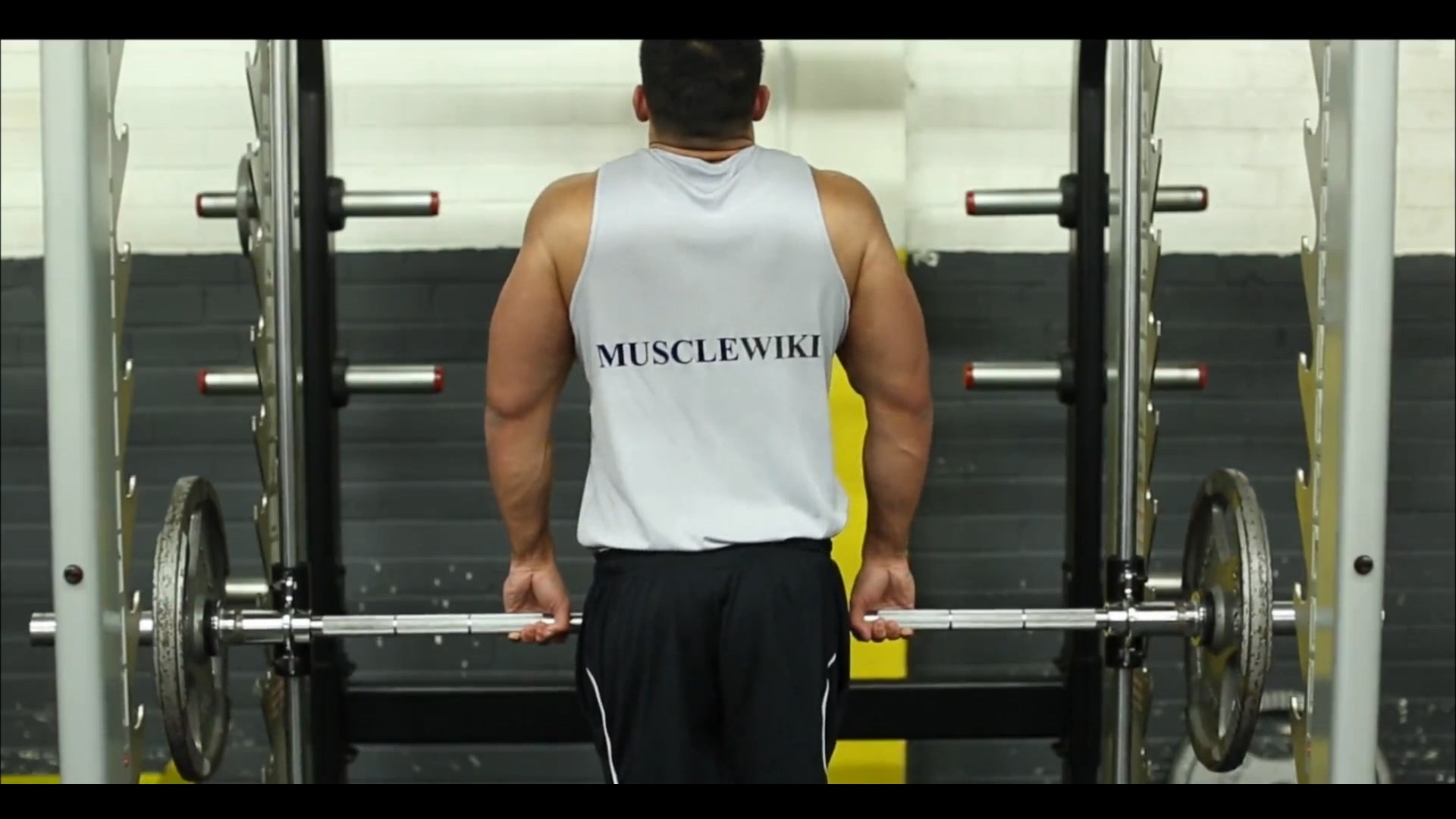 Smith Machine Standing Shrugs/شراگ اسمیت ایستاده