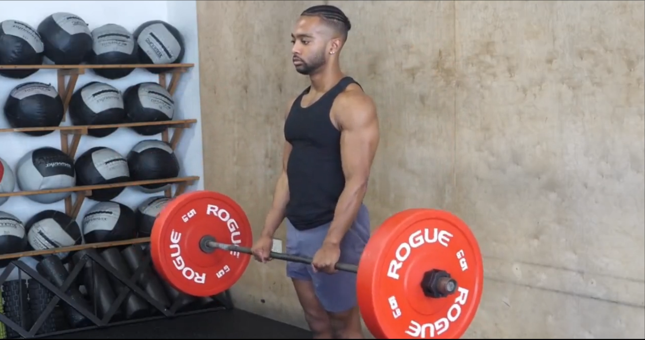 Barbell Reverse Curl/هالتر از جلو مچ برعکس